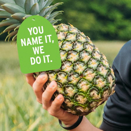 Tropikal Zencefil Yerelleşir mi 1?